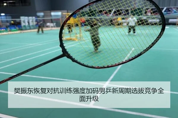 樊振东恢复对抗训练强度加码男乒新周期选拔竞争全面升级